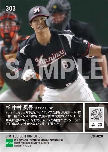 【中村奨吾】17打席ぶりの安打となるV打(19.6.8)