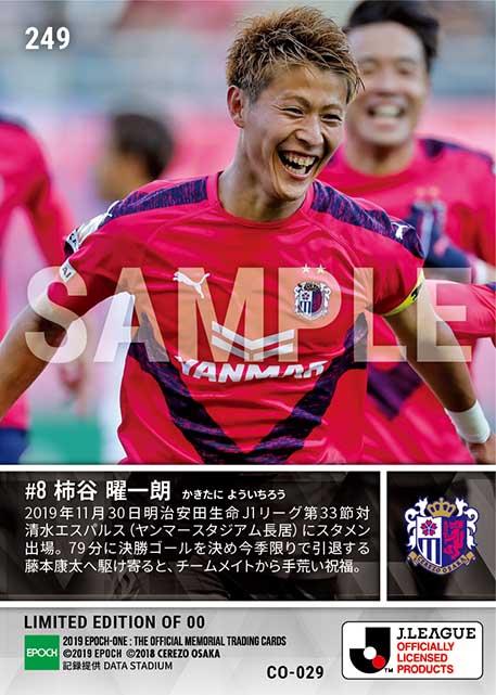 【柿谷曜一朗】技あり決勝ゴール（19.11.30）