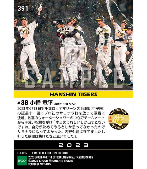 【小幡竜平】プロ初サヨナラ打（23.6.3）