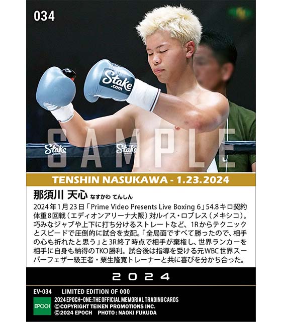 【那須川天心】世界ランカーを圧倒して初TKO勝利（24.1.23）『A』