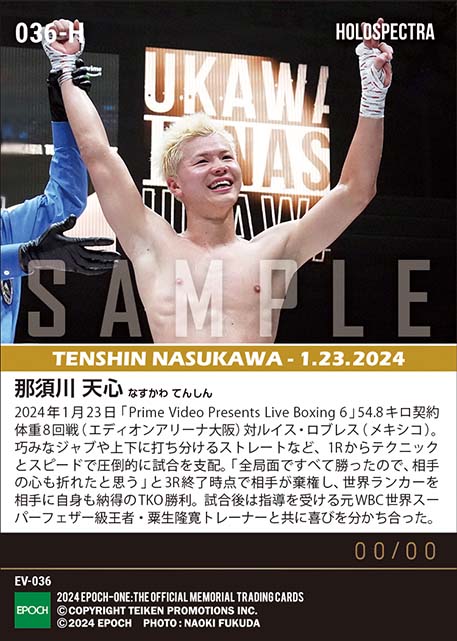 ※ホロスペクトラ【那須川天心】世界ランカーを圧倒して初TKO勝利（24.1.23）『C』