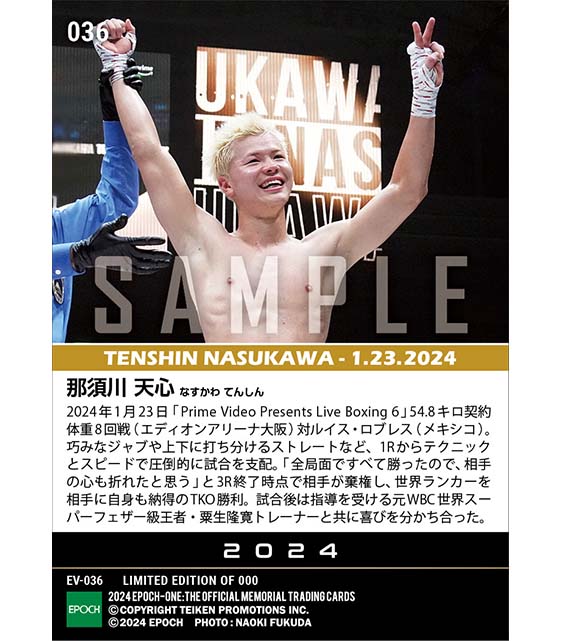 【那須川天心】世界ランカーを圧倒して初TKO勝利(24.1.23)『C』