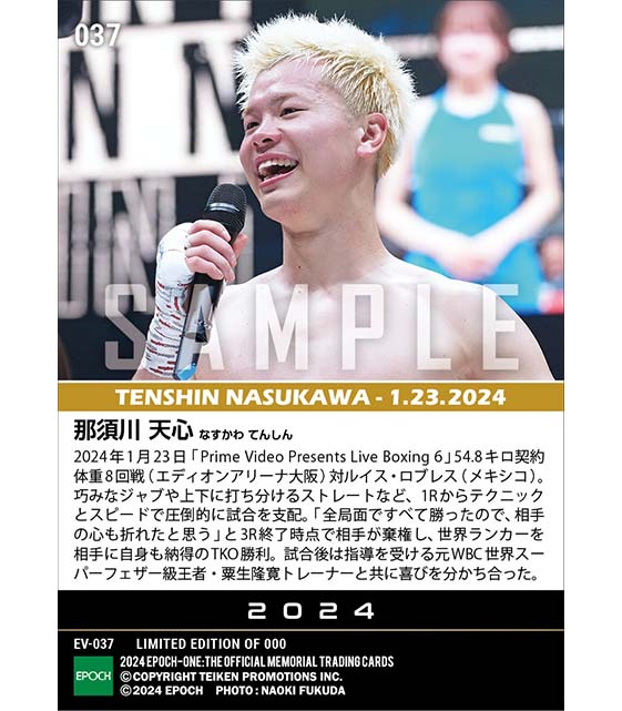 【那須川天心】世界ランカーを圧倒して初TKO勝利(24.1.23)『D』