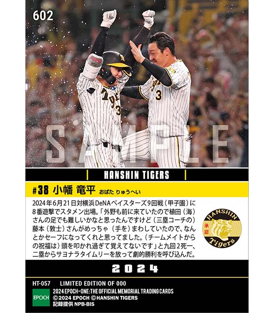 【小幡竜平】3連勝を呼ぶ劇的サヨナラ打(24.6.21)