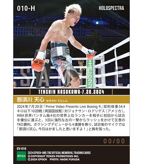 ※ホロスペクトラ 【那須川天心】世界上位ランカー相手に圧巻のTKO勝利(24.7.20)『D』