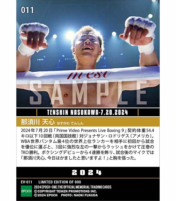 【那須川天心】世界上位ランカー相手に圧巻のTKO勝利（24.7.20）『E』