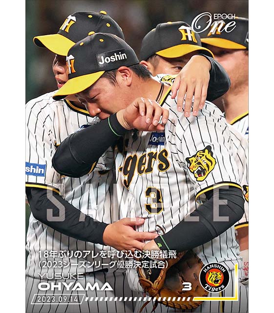 【大山悠輔】18年ぶりのアレを呼び込む決勝犠飛（2023シーズンリーグ優勝決定試合）（23.9.14）