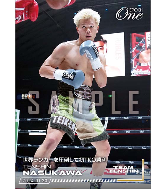 【那須川天心】世界ランカーを圧倒して初TKO勝利（24.1.23）『A』