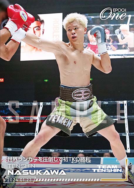 ※ホロスペクトラ【那須川天心】世界ランカーを圧倒して初TKO勝利（24.1.23）『C』