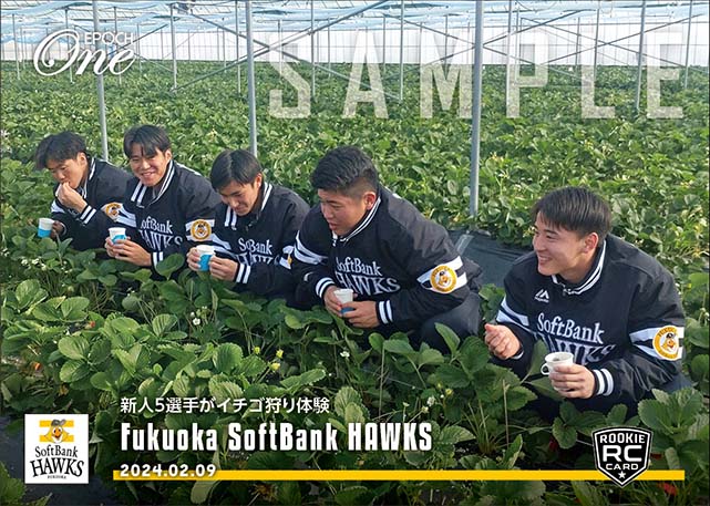 RC【福岡ソフトバンクホークス】新人5選手がイチゴ狩り体験（24.2.9）