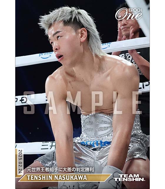 ※ホロスペクトラ 【那須川天心】元世界王者相手に大差の判定勝利（25.2.24）『B』