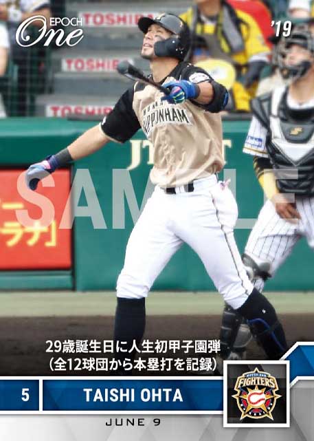【大田泰示】29歳誕生日に人生初甲子園弾（全12球団から本塁打を記録）（19.6.9）