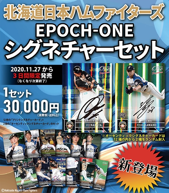 【14枚セット】北海道日本ハムファイターズ　シグネチャーセット