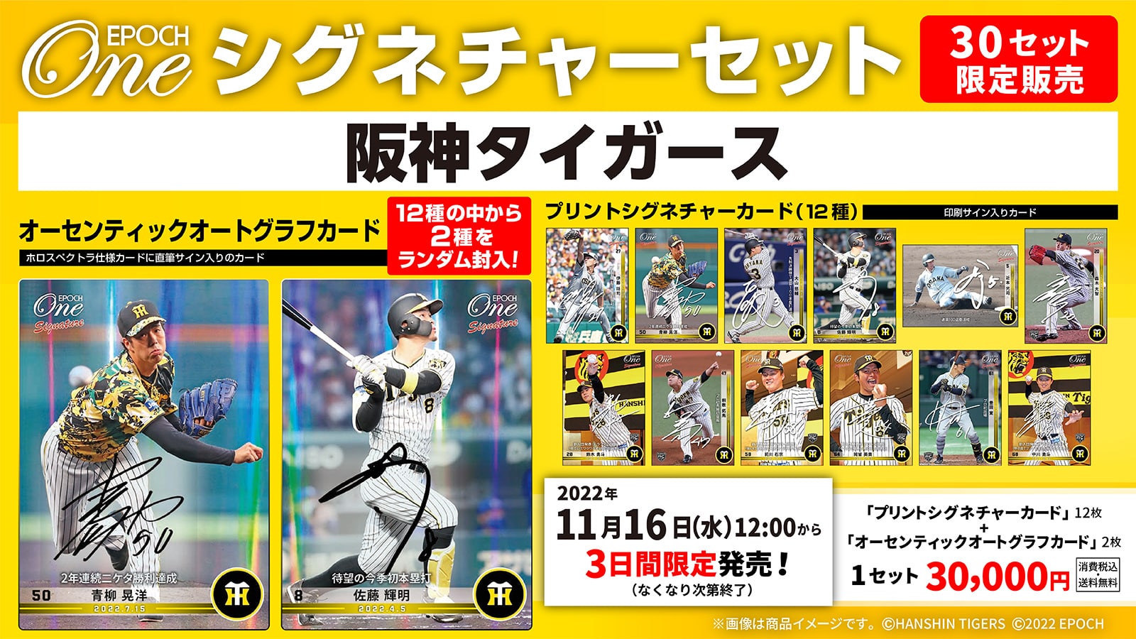 【14枚セット】≪阪神タイガース≫　シグネチャーセット2022