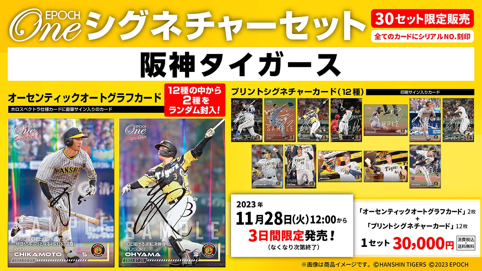 【14枚セット】≪阪神タイガース≫ シグネチャーセット2023