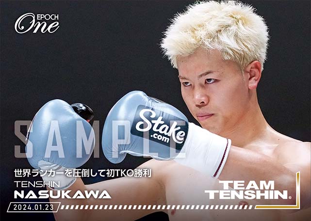 ※ホロスペクトラ【那須川天心】世界ランカーを圧倒して初TKO勝利（24.1.23）『B』