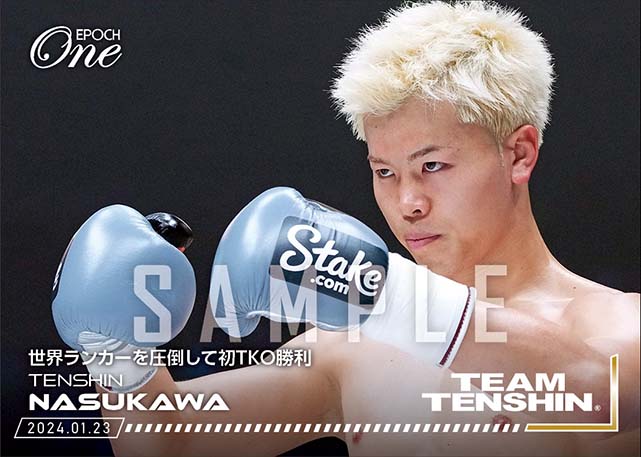 【那須川天心】世界ランカーを圧倒して初TKO勝利（24.1.23）『B』