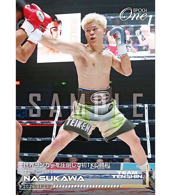 【那須川天心】世界ランカーを圧倒して初TKO勝利（24.1.23）『C』