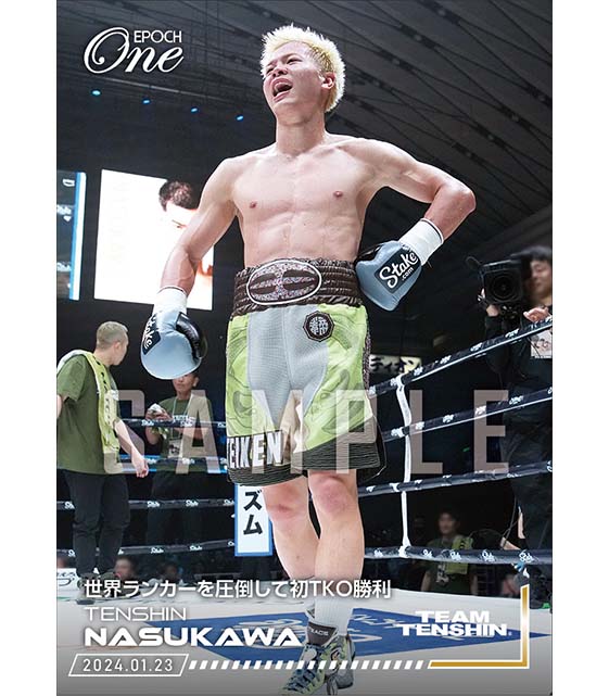 【那須川天心】世界ランカーを圧倒して初TKO勝利（24.1.23）『D』