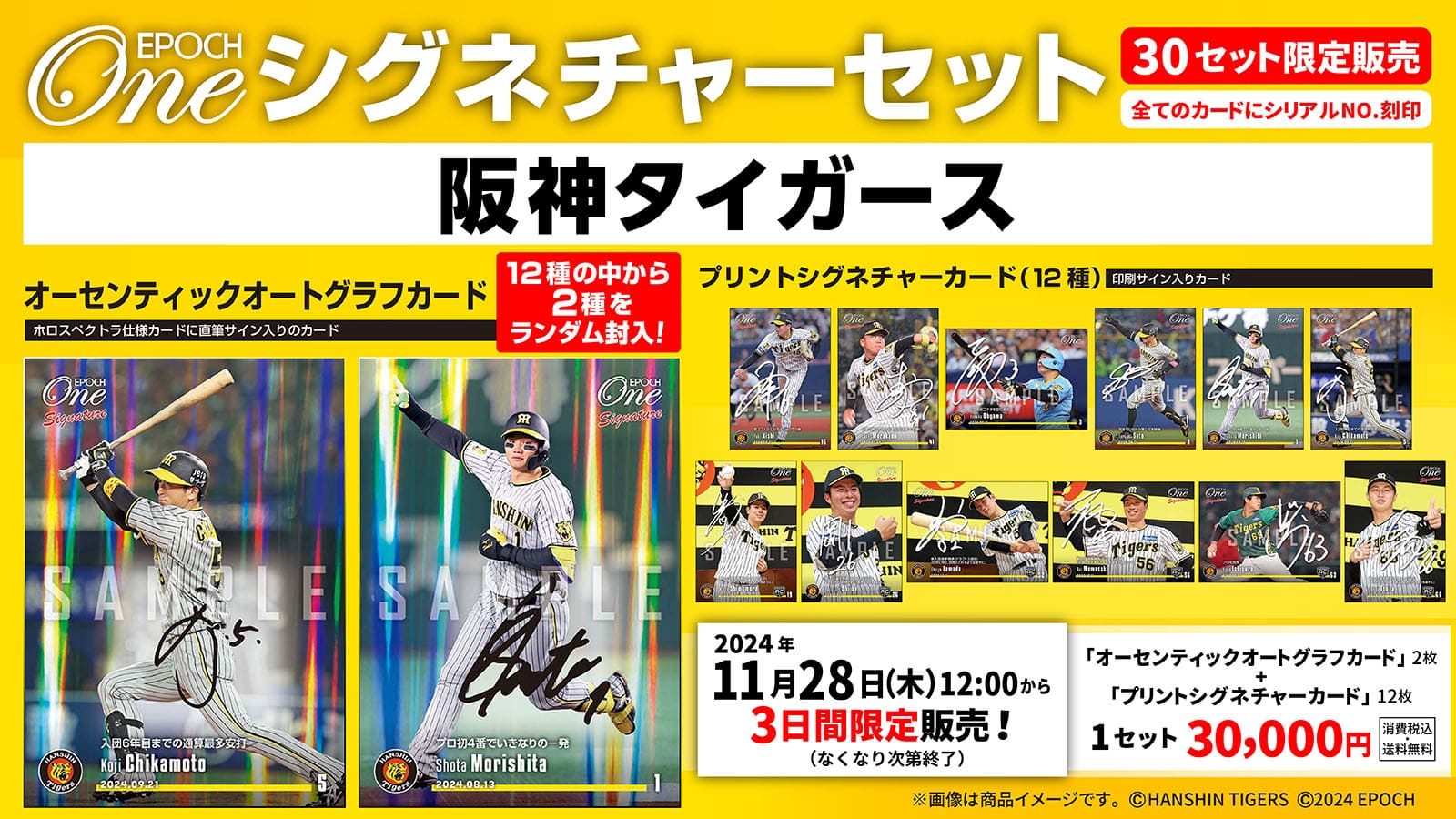 【14枚セット】≪阪神タイガース≫ シグネチャーセット2024