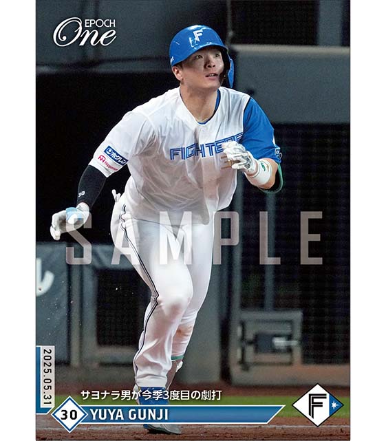 エポック社の公式オンラインショップです。プロ野球/2025年