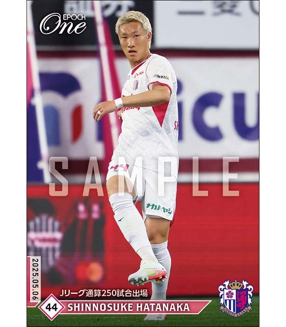 【畠中槙之輔】Jリーグ通算250試合出場（25.5.6）